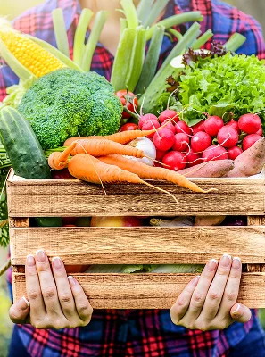 légumes de saison à Guéret dans la Creuse 23