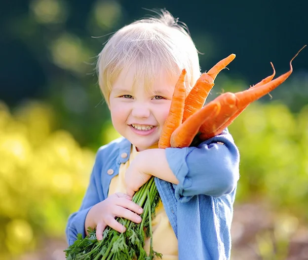 jeune garçon avec des carottes à Guéret dans la Creuse 23
