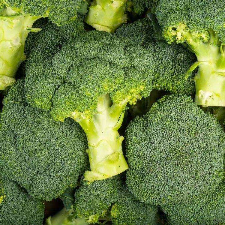 PROMO du 05 au 10/02