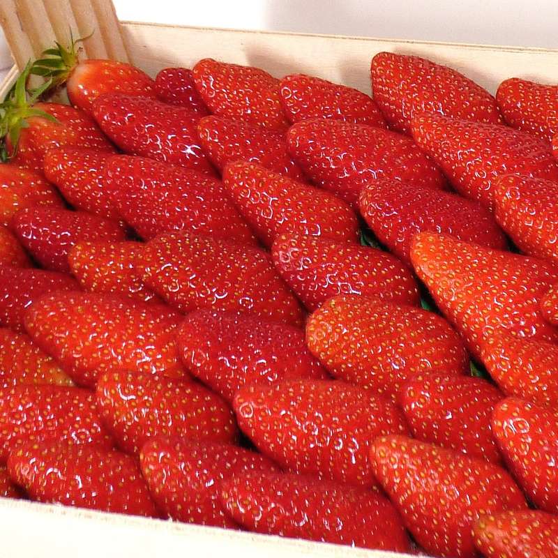 PROMO du 09 au 14/04