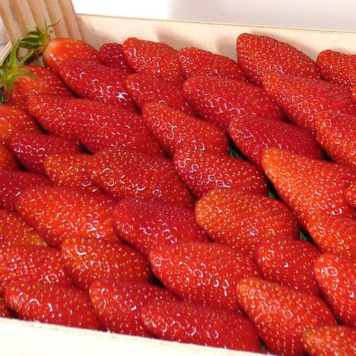 PROMO du 09 au 14/04