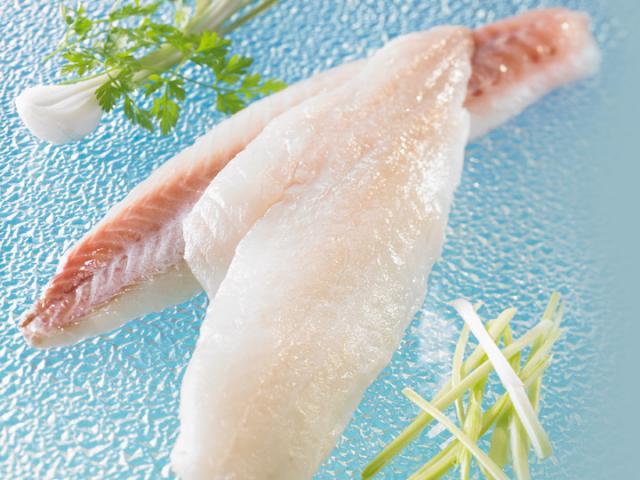 Filet de DORADE-SEBASTE AVP / France