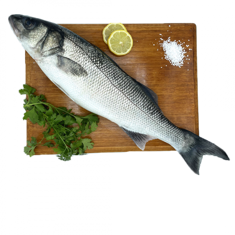 BAR Fileyeur Pavillon Français