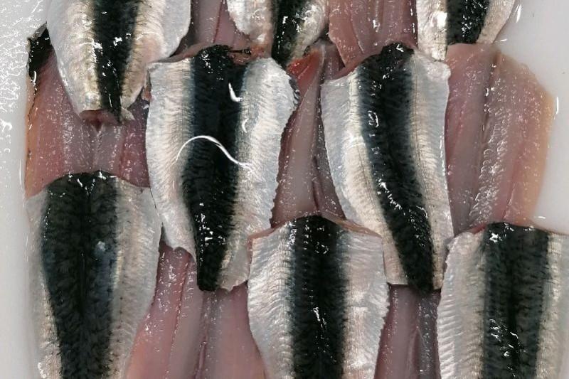 Filet de Sardine